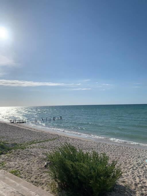 Willa La Casa Amarilla Frente Al Mar Chelem Zewnętrze zdjęcie